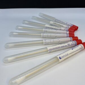 Swab in Tube, Wooden shaft & Cotton tip
